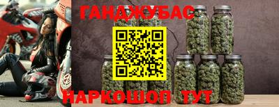 ешки Гатчина