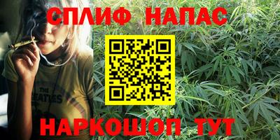 сатива Гагарин