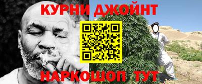 гидра Гай