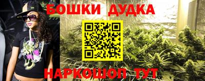 гидра Гай