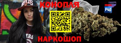 гидра Гай