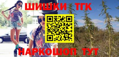 ешки Гатчина