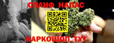сатива Гагарин