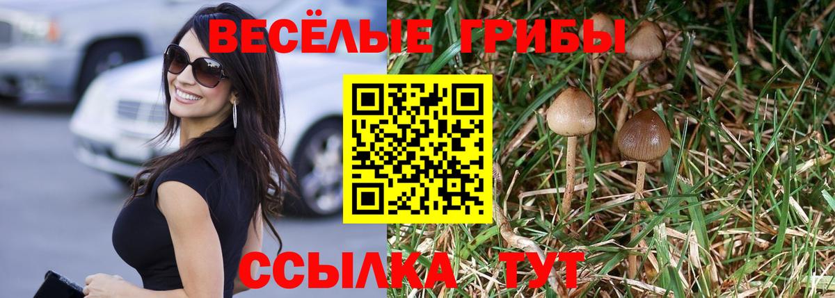 Псилоцибиновые грибы ЛСД Советская Гавань