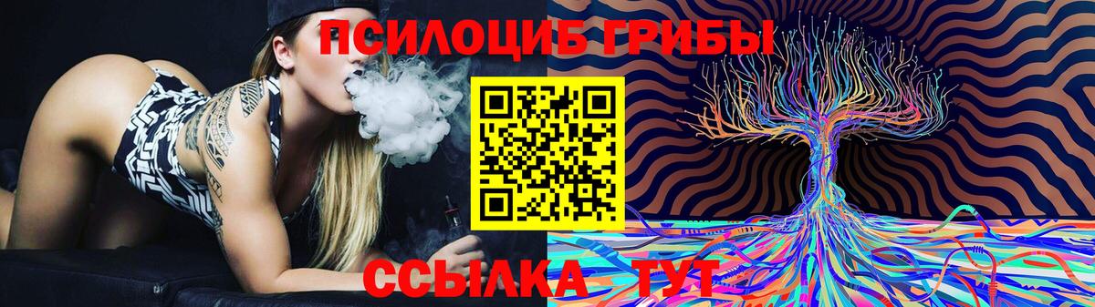 Советская Гавань  Псилоцибиновые грибы Psilocybe  Вход с VPN  Псилоцибиновые грибы MAGIC MUSHROOMS 